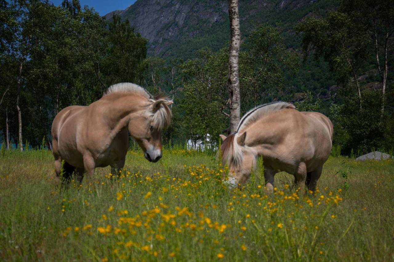 Olden Glamping - One With Nature Stryn Exterior photo